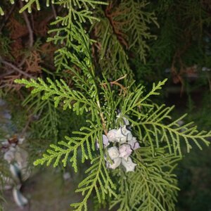 20241024_093528.jpg