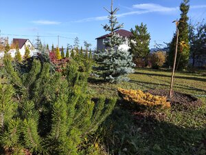 IMG_20241026_113454.jpg