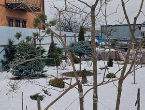 20250125_124130.jpg