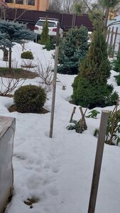 20250125_124328.jpg