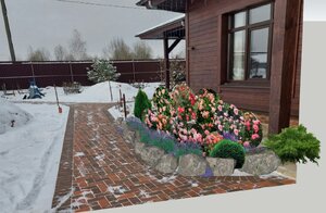 Посадка роз у дома-3.jpg