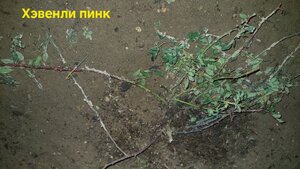 20250131_174116.jpg