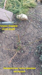 20250131_091451.jpg
