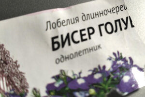 бисер.jpg