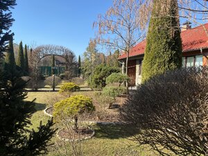 IMG_3373.jpeg