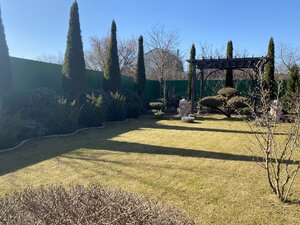 IMG_3363.jpeg