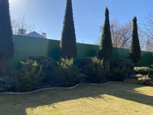 IMG_3364.jpeg
