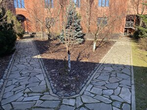 IMG_3370.jpeg