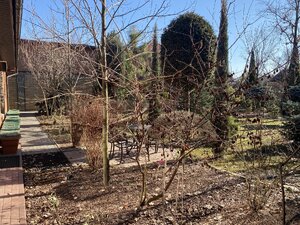 IMG_3367.jpeg