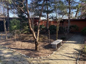 IMG_3371.jpeg