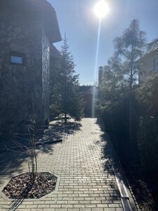 IMG_3376.jpeg