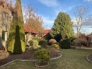 IMG_3325.jpeg