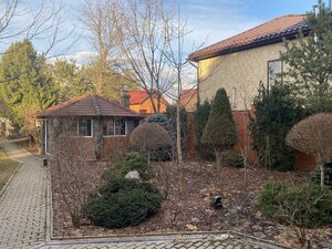 IMG_3328.jpeg