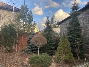 IMG_3329.jpeg