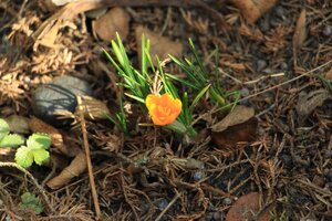 IMG_7662.JPG