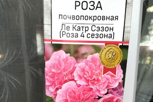 сезоны.jpg