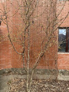 IMG_4113.jpeg