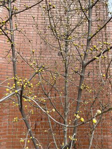 IMG_4114.jpeg