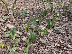 IMG_4127.jpeg