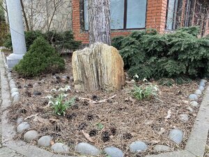IMG_4125.jpeg