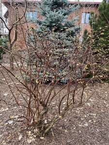 IMG_4110.jpeg