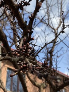 IMG_4123.jpeg