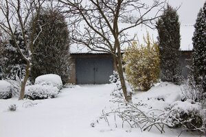 IMG_7777.JPG