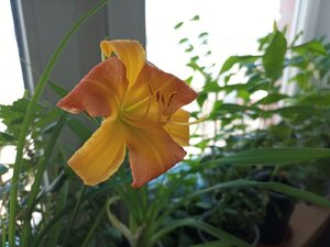 IMG_20250413_145522_031.jpg