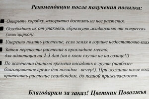 открытка.jpg