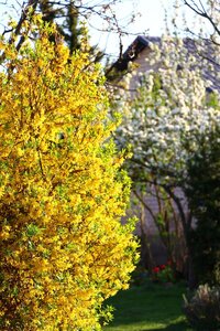 IMG_7820.JPG