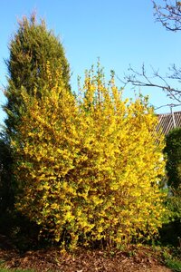IMG_7818.JPG