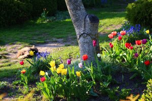 IMG_7824.JPG
