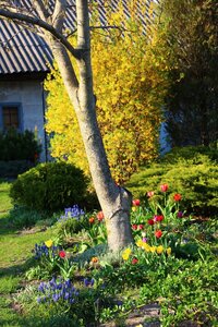 IMG_7787.JPG