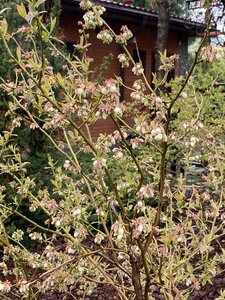 IMG_4446.jpeg