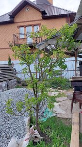 20250512_193120.jpg