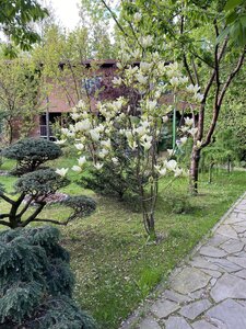 IMG_4561.jpeg