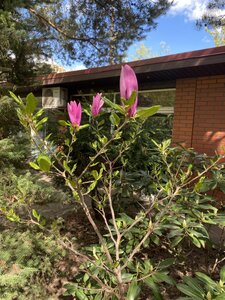 IMG_4480.jpeg