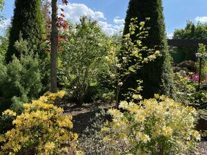IMG_4809.jpeg