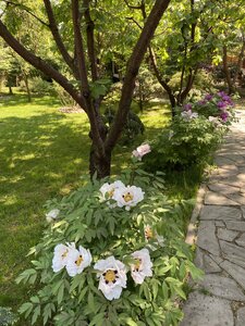 IMG_4791.jpeg