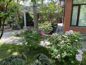 IMG_4734.jpeg