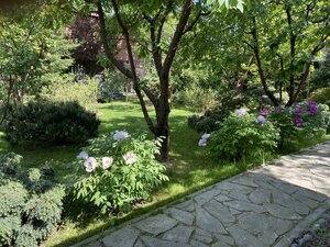 IMG_4732.jpeg