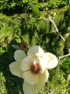 IMG_20250524_155754.jpg