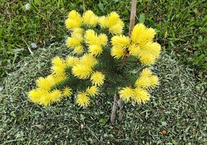 IMG_20250525_201630.jpg