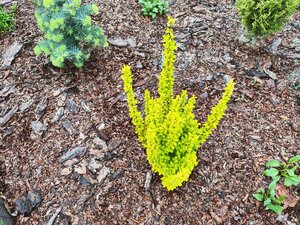 IMG_20250518_164958.jpg