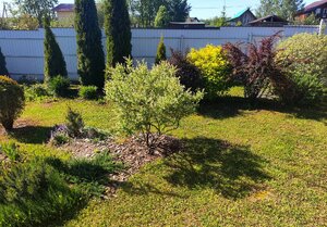 IMG_20250525_203118.jpg