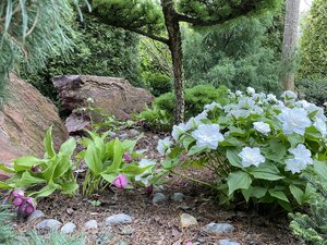 IMG_4660.jpeg