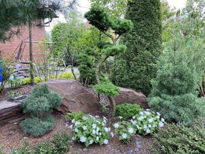 IMG_4659.jpeg