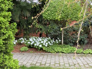 IMG_4652.jpeg