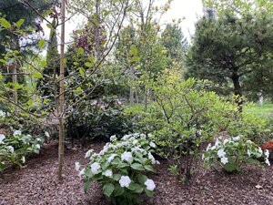 IMG_4655.jpeg