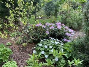 IMG_4653.jpeg